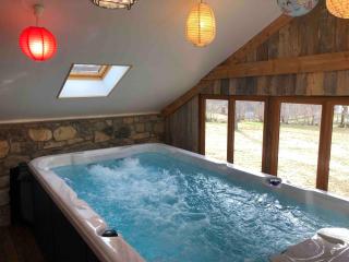 Le Domaine de Castille - chalet pyrénéen de charme - spa de nage - Arrens-Marsous - 1