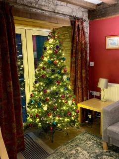 Llwyn Llwyd Cottage - Brecon - 8