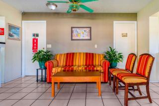 Econo Lodge - Crystal River - 5