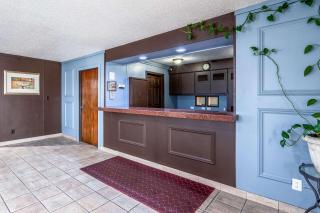 Econo Lodge Inn & Suites - Auburn - 7
