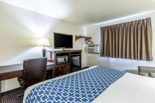 Econo Lodge Inn & Suites - Auburn - 4