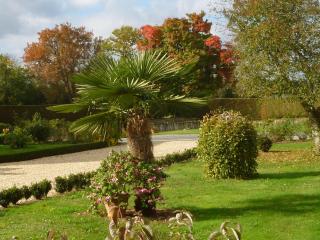 Spacieuse fermette près des châteaux & Zoo de Beauval avec activités et grand jardin - FR-1-591-218 - 8