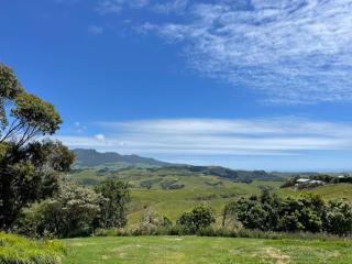 Room with a View - Raglan - 2