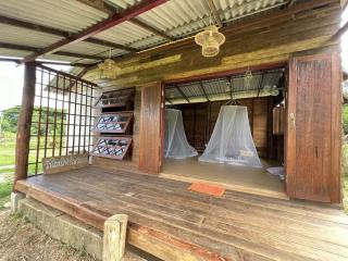 Wanmai Farm Stay Muangkong วันใหม่ฟาร์มสเตย์ เมืองคอง เชียงดาว - 1