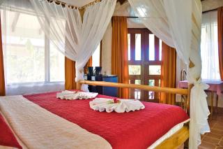 Samara Pacific Lodge - Sámara - 4