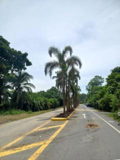 Rustika Logde - Puerto Viejo - 1