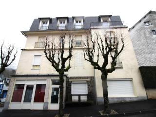 Bel Appartement T3 Rénové avec Wi-Fi à 400m des Thermes de La Bourboule, Capacité 4 Personnes - FR-1-608-261 - La Bourboule - 1