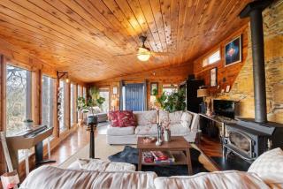 Cozy Cabin Getaway on Buffalo River with HUGE Patio - Lobelville - 9