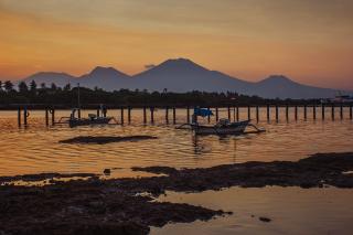 Mangroove Bay Boutique Hostel - 3