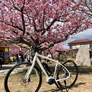 Kona Stay Bicycle Resort - Izunokuni - 5