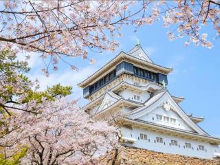 Rihga Royal Hotel Kokura Fukuoka - Kitakyushu - 6