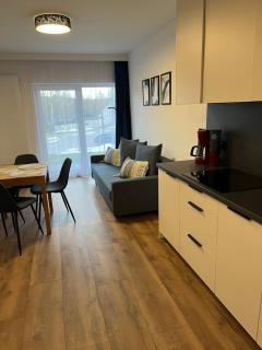 Trevilles Apartamenty Silent - Szklarska Poręba - 3
