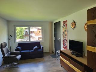Splügen Haus Engadinella - Splügen - 8