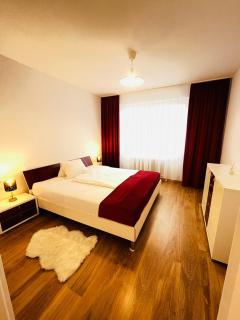 Magnifique Appartment - 3