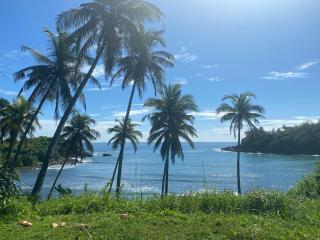 Coconut Cabin - Hiriketiya Beach - 3