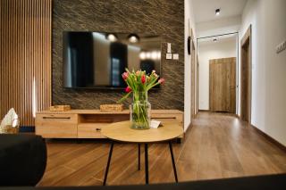 Laguna Beskidów Resort - Apartament A2 - Zarzecze - 4