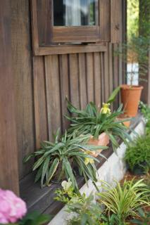 Olive Cottage Bao Loc - 6