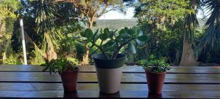 Terryton Country Estate - 5