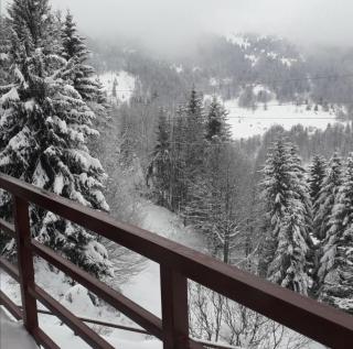 Apartman Miloš na Kopaoniku - Raška - 5