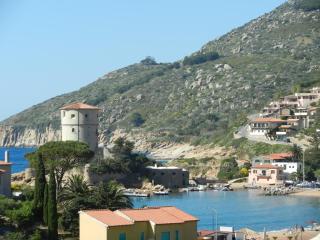 Giglio Rosa 4 n23 - 9