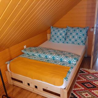 Roztocze 3 kroki od sosny - 1