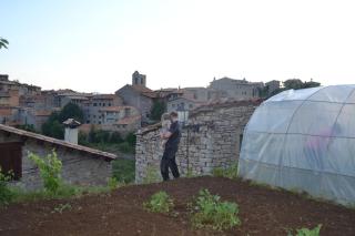 Hostal La Muntanya - 3