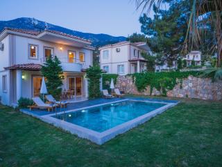 Fethiye Ovacıkta 6 kişilik Özel Havuzlu Villa Royal 2 - Fethiye - 8