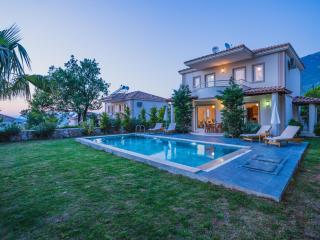 Fethiye Ovacıkta 6 kişilik Özel Havuzlu Villa Royal 2 - Fethiye - 9