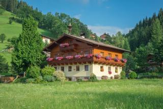 Bauernhof Auhof - Wagrain - 4