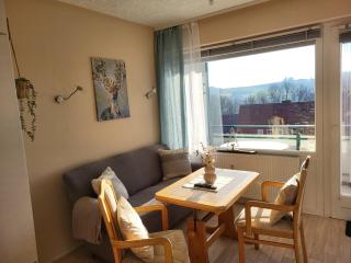 FeWo Talblick 22 - Bad Lauterberg - 0