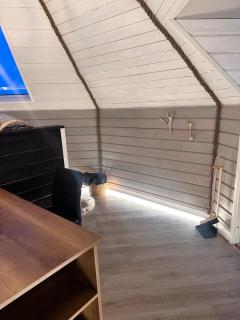 Northernlight cabin 2 - Kiruna - 8