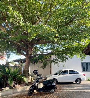 Hj Hassan Guest House- Studio Unit - Kuala Terengganu - 4
