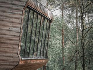 Tree Inn - Das Baumhaushotel - Dörverden - 8