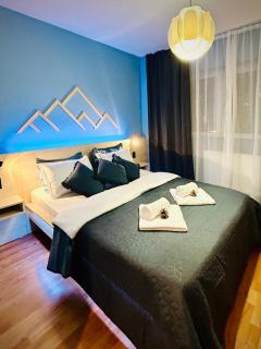 Blue Mountain Residence - Braşov - 8