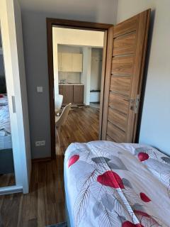 Apartament Wałbrzych - Wałbrzych - 3