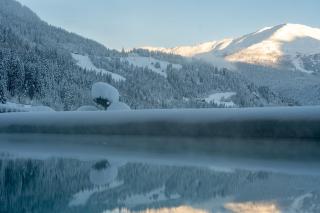 Alpin Chalet am Burgsee - 7