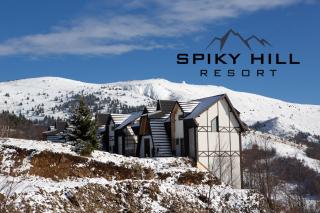 Spiky hill resort - Kopaonik - 2