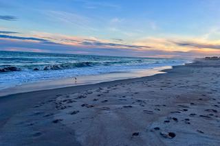 The Hornet's Nest - Surf City - 7
