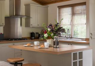 Llyn Dinas Lodge - 5