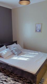 Kamel Furnished Apartments! - Wakiso - 2