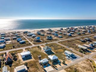 021 Petite Dauphine - 9