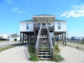 008 Sea Horsin Around - Dauphin Island - 0
