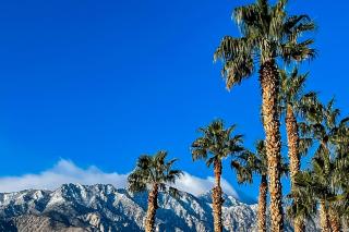 Villas de las Flores Permit #68338 - 4