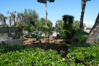 Casina Anna Maria - Francavilla Fontana - 2