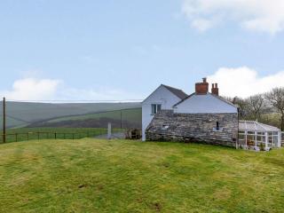 3 Bed in Boscastle 82896 - Boscastle - 9