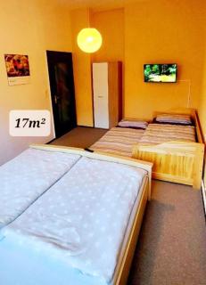 Ferienwohnung "Blick Mylau" - Nähe Freizeitpark Plohn & weltgrößter Ziegelsteinbrücke - Reichenbach im Vogtland - 3