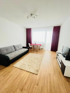 Magnifique Appartment - Linz - 5