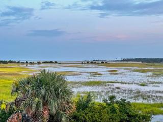 Panoramic Marsh and Ocean Views. Steps to Beach and Pool. -  - 9