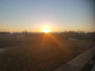 Ocean front, Golf Cart, Magic: Stay at Sea Island Magic - - 0