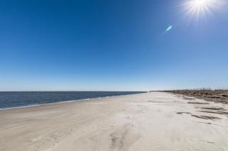 Direct Ocean View! M Building Pool and Ocean Views -  - 5